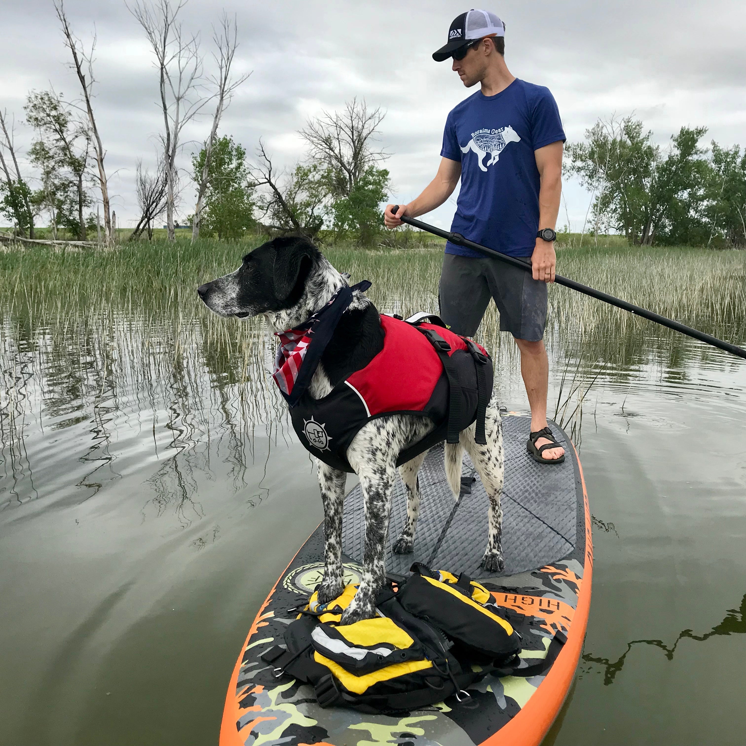 Paddle Boarding with Your Dog: A Complete Guide