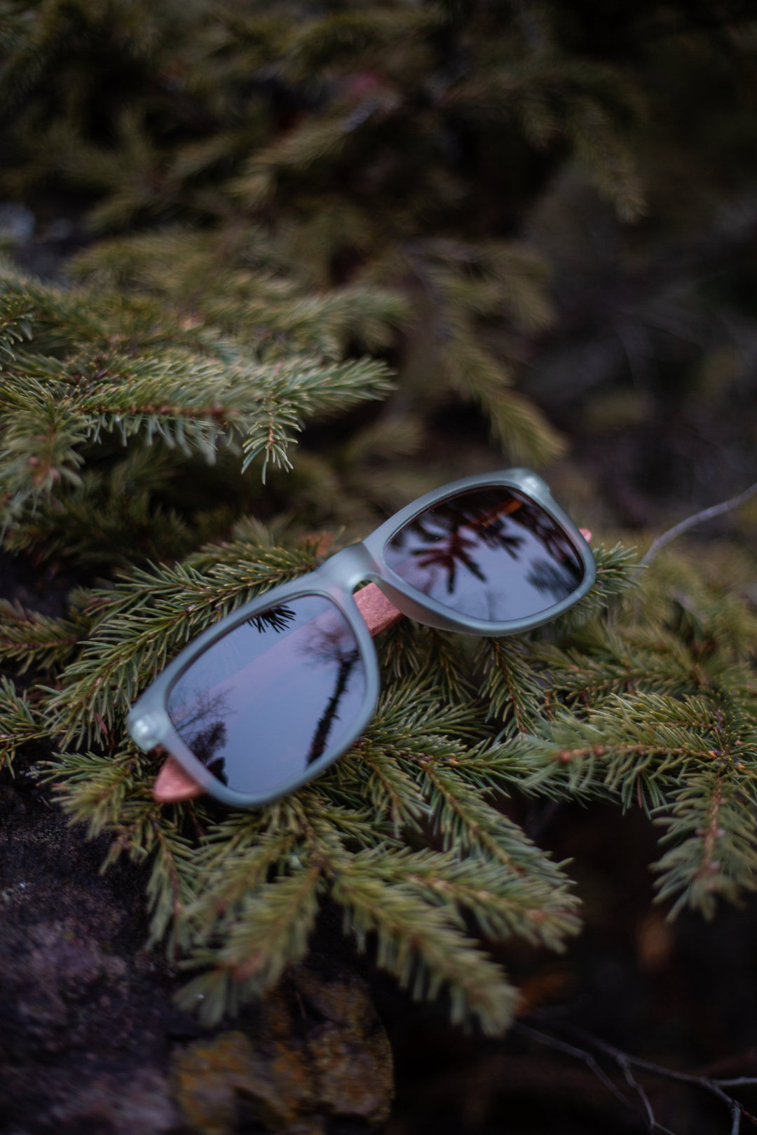 Fog Sunnies