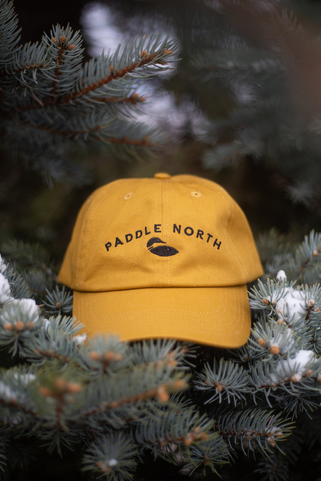 Cabin Hat